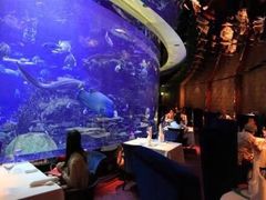 -迪拜帆船酒店海底餐厅