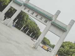-武汉大学-樱园
