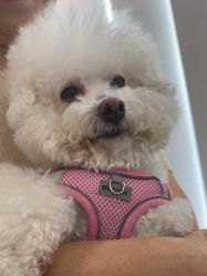 -如一·美甲美睫