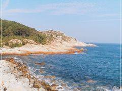 -广东惠东海龟国家级自然保护区