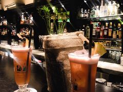 新加坡司令-Long Bar(莱佛士酒店)