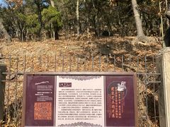 -青岛德国总督楼旧址博物馆