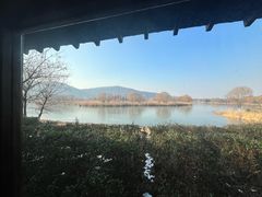 -长广溪湿地公园