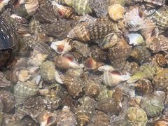 -港畔赶海蒸汽海鲜烧烤自助(仙螺岛店)