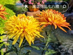 -广州文化公园