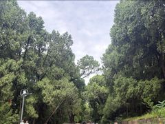-七曲山风景区