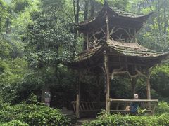 -青城山
