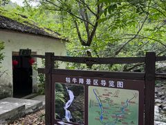 -石台牯牛降景区