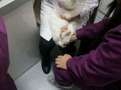 -达爱动物医院·犬猫分区·CT·复杂眼科(远洋山水分院)