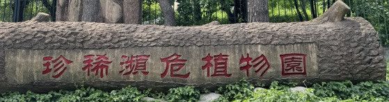 -黑龙江省森林植物园