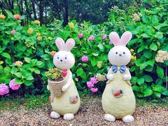 -上海共青森林公园