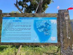 -花岙岛