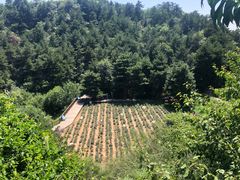 -云峰山自然风景区