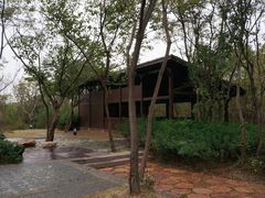 -盘龙城国家考古遗址公园