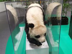 -中国湿地博物馆