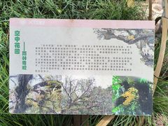 -中国科学院西双版纳热带植物园