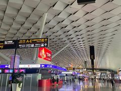-郑州新郑国际机场-T2航站楼