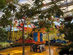 -南宫五洲植物乐园