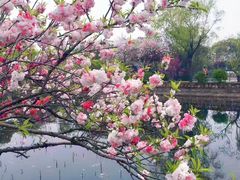 -无锡蠡湖国家湿地公园-蠡园