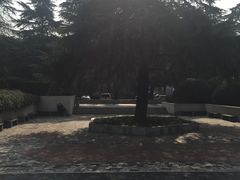 -江苏第二师范学院(草场门校区)