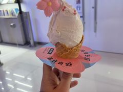 -野人先生现做冰淇淋(北京顺义祥云小镇店)