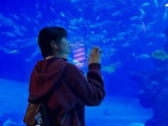 -成都浩海立方海洋公园