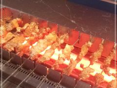 -邢氏老太太烤串(北兴街店)