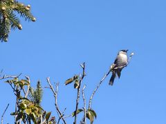 -大理文庙(大理古城)