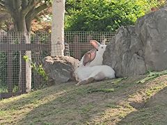 -洪湖家庭农场·团建·露营·会议
