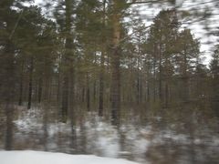 -北极村旅游风景区