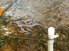 -顺德了能馆(虎门店)