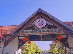 -上海海湾国家森林公园