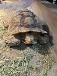 -Zoolung Zoolung动物主题公园(海信广场店)