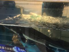 -大河宴·椒麻鱼火锅(米东区店)