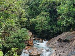 -广州白江湖森林公园