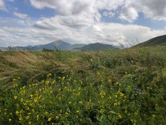 -扁都口生态休闲旅游区