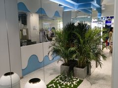 -吴山山·椰子酸奶(天河南店)