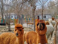 -水上乐园·欢乐世界