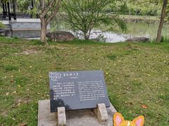 -高子水居