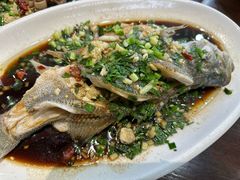 葱烧鲈鱼-胖子饭店(兴学弄店)