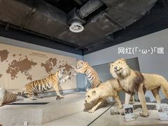 -上海自然博物馆