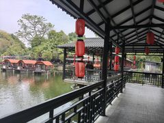 -侨美·唐荔园·40年地道粤菜