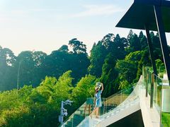 -浮游·云巅派对西餐厅(鼓岭旅游度假区店)