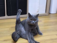 -SUPERMONKEY超级猩猩健身(中山公园店)
