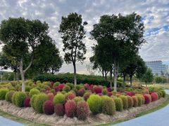 -春花秋色城市公园