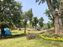 -南京银杏湖乐园