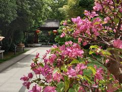 -南京东郊国宾馆