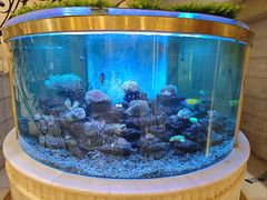 -碧中海汤泉汗蒸酒店