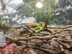 -广州长隆飞鸟乐园