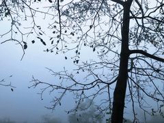 -秦岭终南山世界地质公园翠华山景区